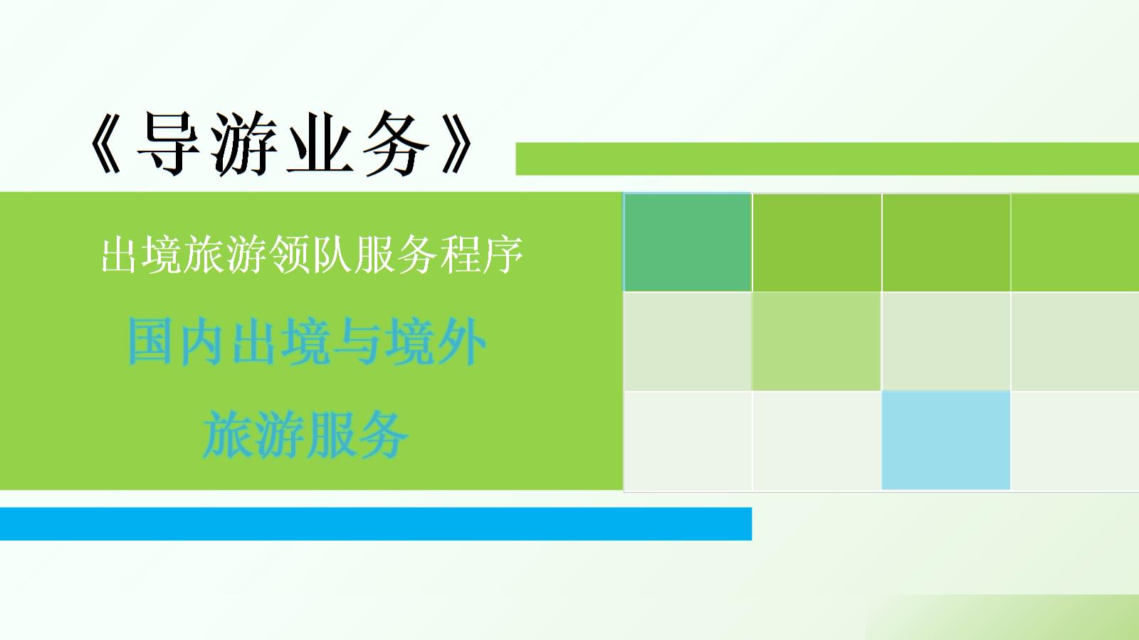 導(dǎo)游業(yè)務(wù)精講 國內(nèi)、出境與境外旅游服務(wù)